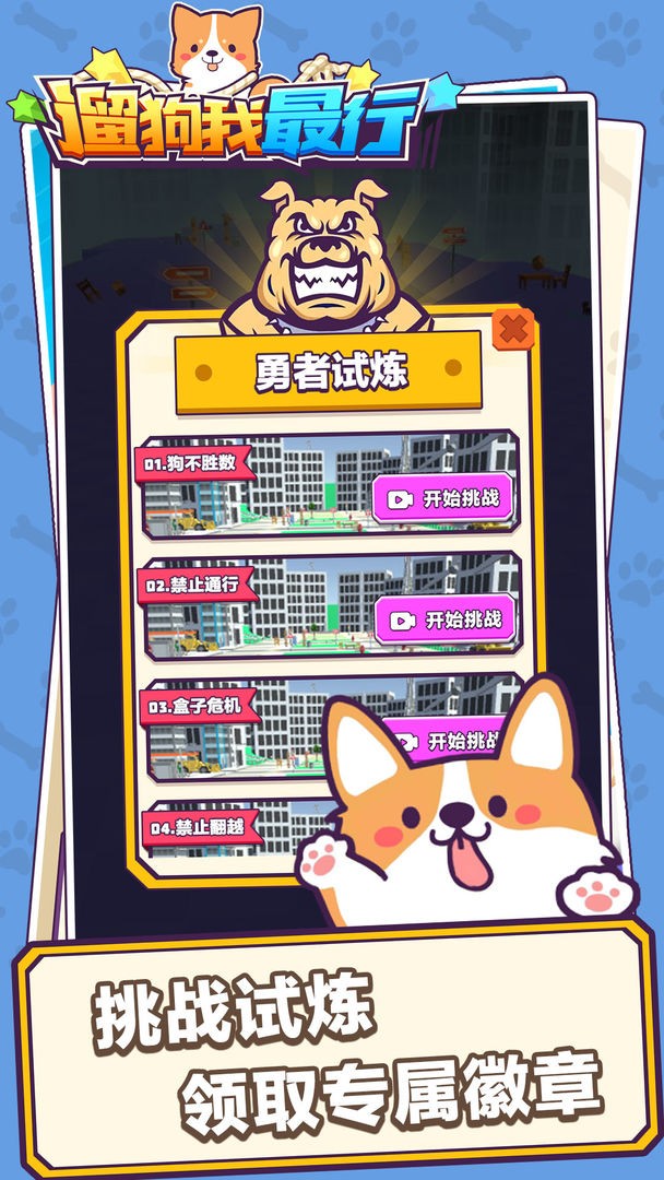 遛狗我最行的图册