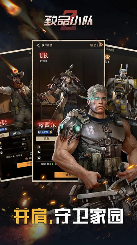 致命小队的图册