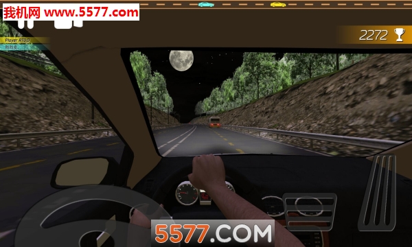 RealTrafficDriver:Online(realtrafficdriver:online官的图册