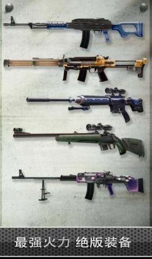 王牌特工黄金圈的图册