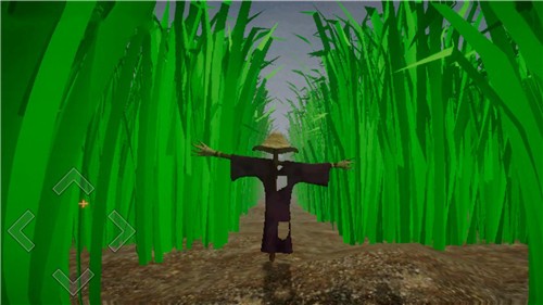 躲猫猫派对的图册