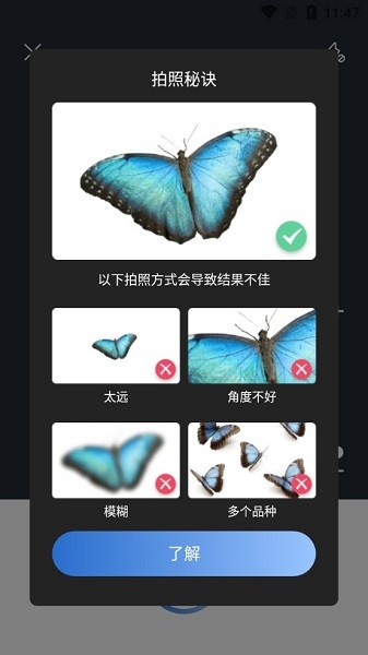 PictureInsect精简版的图册