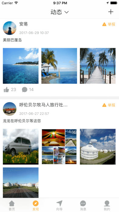 蜜蜂向导的图册