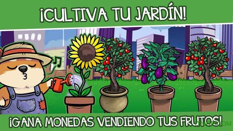 小柴犬(PerroShibo)的图册