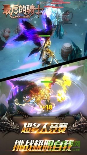 最后的骑士的图册