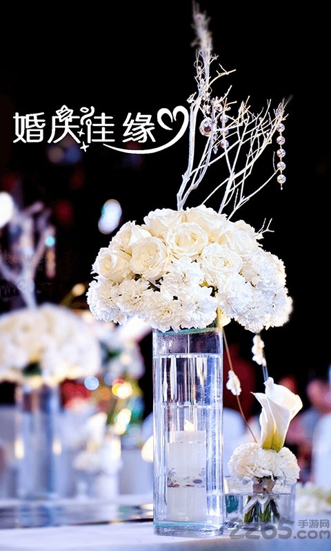 婚庆佳缘手机版的图册