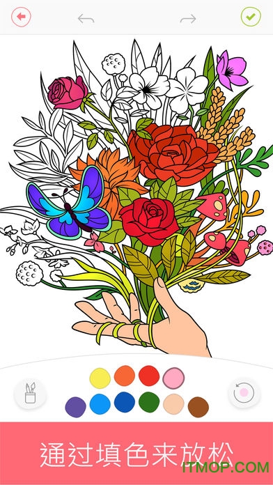 colourfy(涂色)的图册