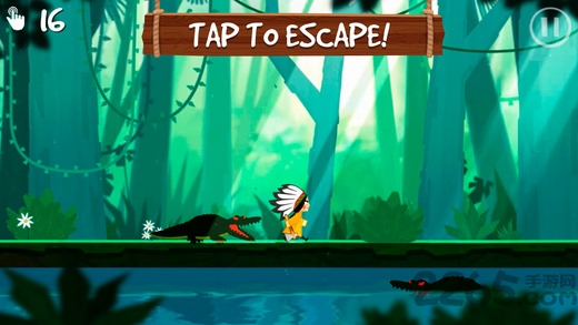 拯救猫头鹰游戏的图册