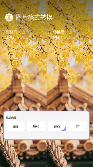 jpg图片压缩小果版app的图册