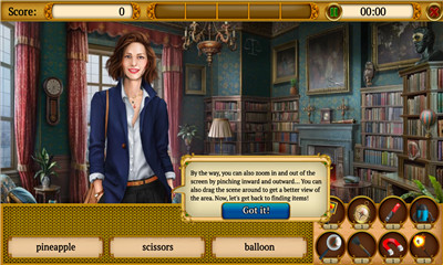 隐藏物品神秘的欧洲(mysterysociety)的图册