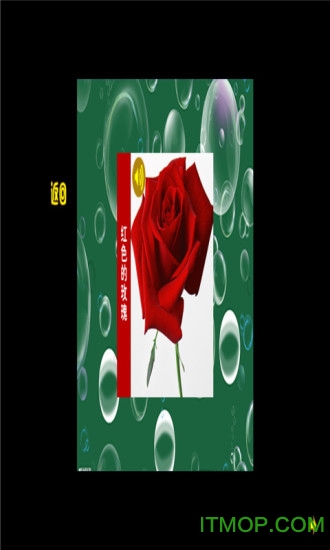 KT猫学颜色的图册