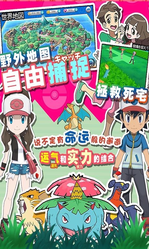 神奇训练家的图册