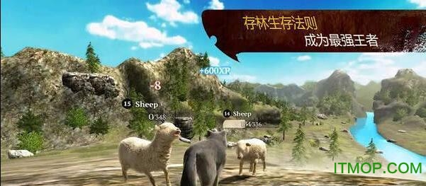 狼模拟求生的图册