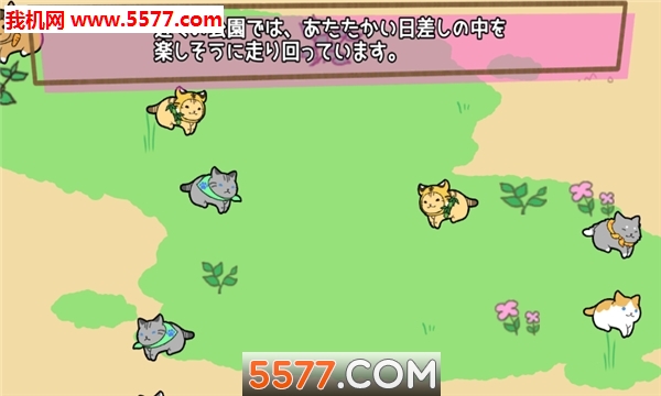 喵喵长跑安卓版的图册