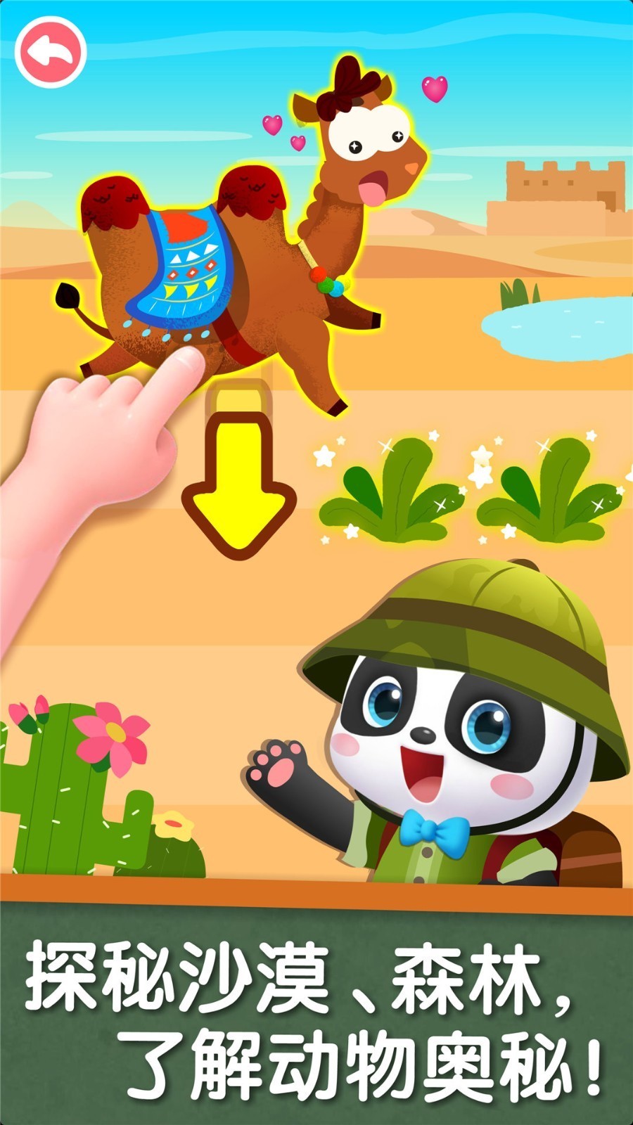 宝宝巴士科学的图册