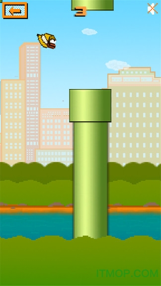 快乐的小鸟的图册