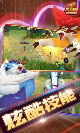 寻灵大冒险的图册