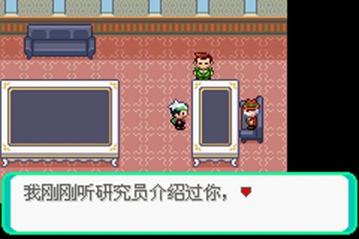 口袋妖怪绿宝石进化版的图册