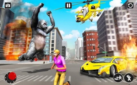 金刚横冲直撞的图册