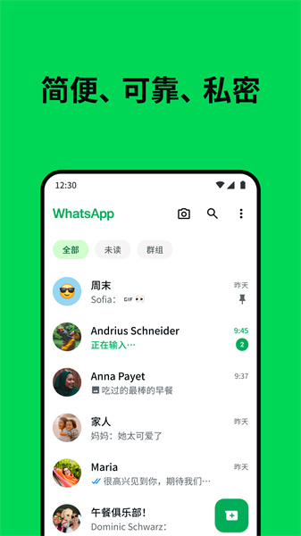 whatsapp国内版的图册