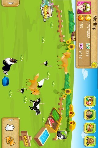 木瓜农场的图册