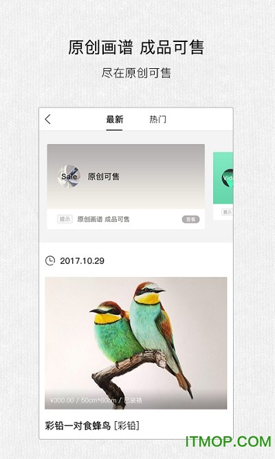 马蹄香绘画app的图册