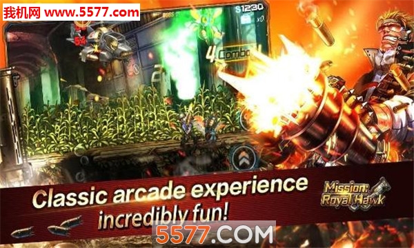 Mission:RoyalHawk(使命皇家鹰队安卓版)的图册