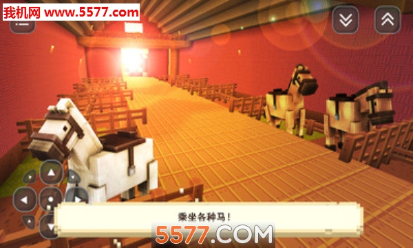 我的小马一个女孩的游戏安卓版的图册