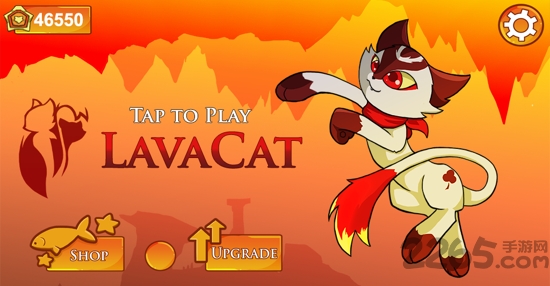 火山猫手机版的图册