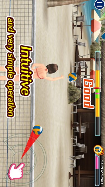 天堂沙滩：拍球与比基尼的图册