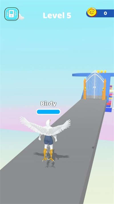 飞行或游泳游戏的图册