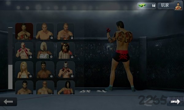 暗影大乱斗手游的图册