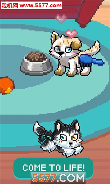 PixelPetz(像素狗狗安卓版)的图册