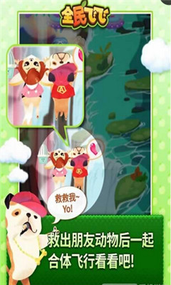 全民飞飞的图册