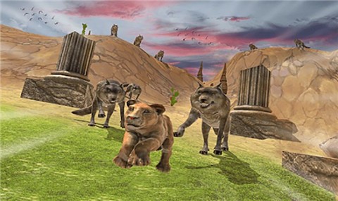 丛林霸主的图册