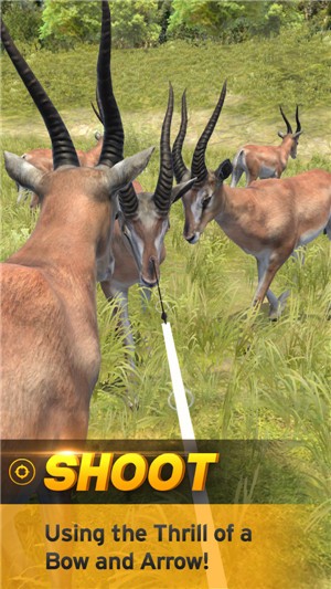 狩猎世界的图册