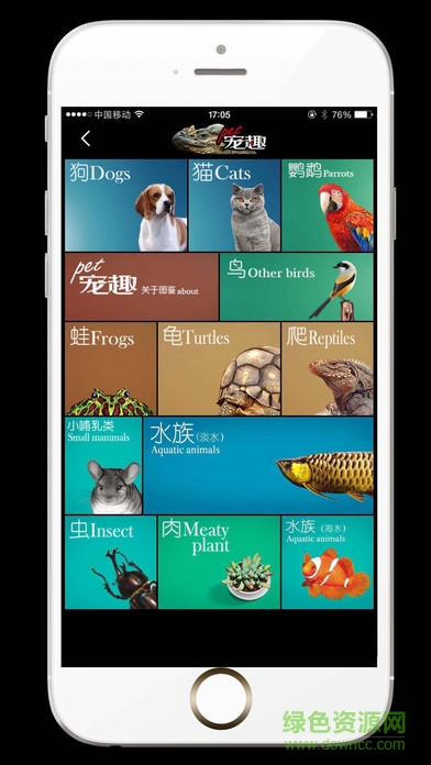 pet宠趣手机版的图册