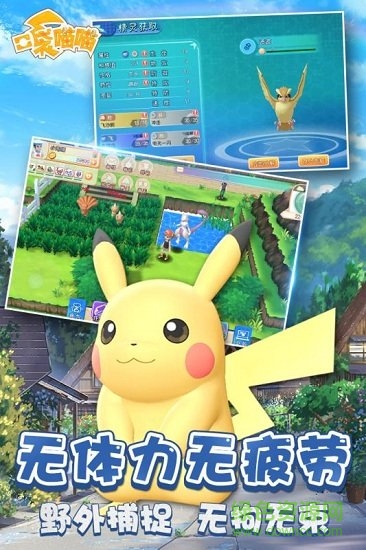 口袋喵喵九游最新版的图册