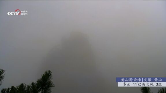 秒看电视app官网版的图册