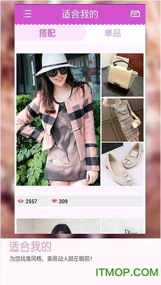 寸巢软件的图册