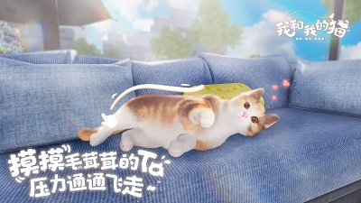 我和我的猫测试服的图册