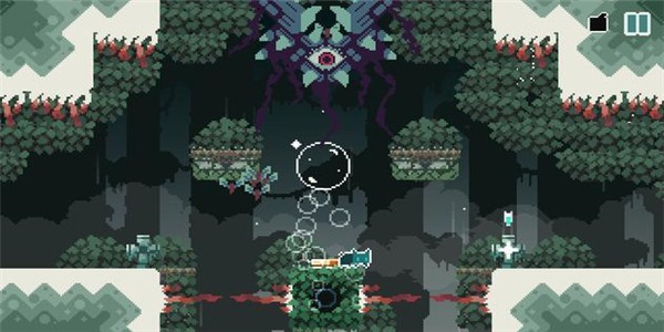 无名的貓的图册