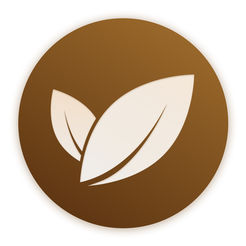 清美助手安卓版