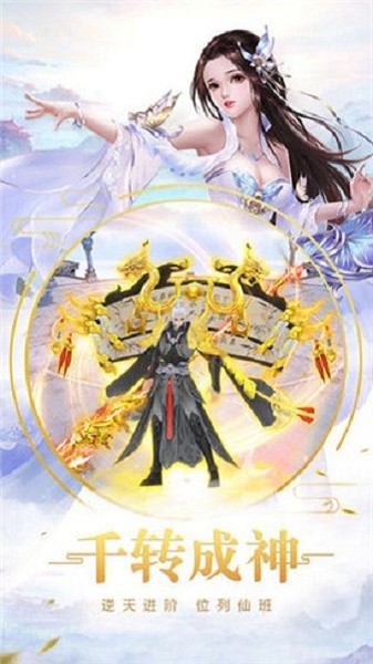 冠军蔷薇的图册