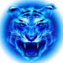 四虎影视2025最新版