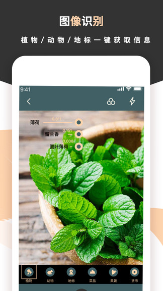 标准扫描王的图册