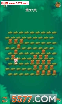 捉小猪安卓版的图册