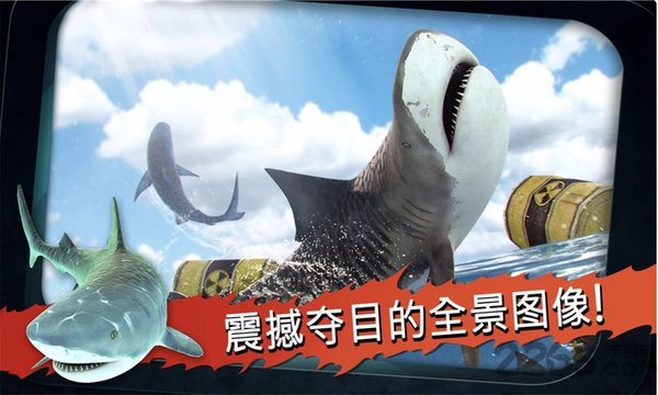 鲨鱼饿了内购破解版的图册