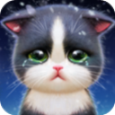 小猫爱消除最新版