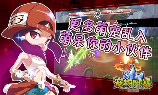 宠物风暴希望之光的图册